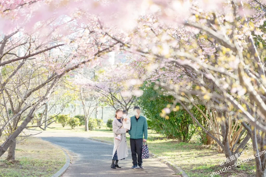 桜・入園記念に出張撮影で家族フォト